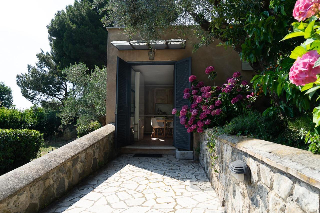 Frascati Country House Grottaferrata Exterior foto